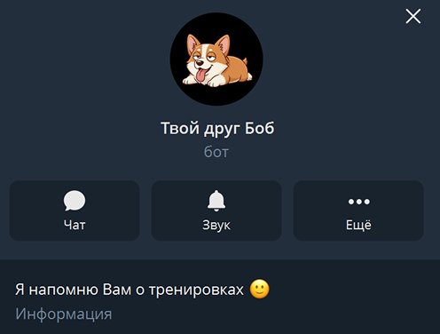 Телеграм-бот Твой друг Боб — напоминает о тренировках